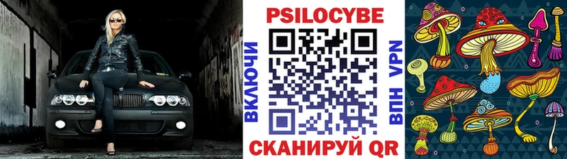 наркота  Княгинино  Псилоцибиновые грибы MAGIC MUSHROOMS 